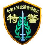 Logotipo de la Chinese People's Armed Police Force Academy