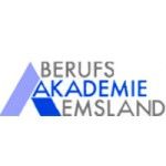 Логотип Vocational Academy Emsland