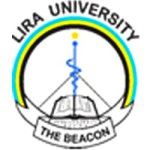 Логотип Lira University