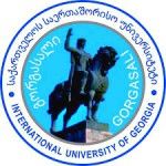 Логотип Tbilisi Teaching University of Georgia
