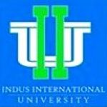Логотип Indus International University