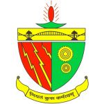 Logotipo de la Birsa Institute of Technology Sindri