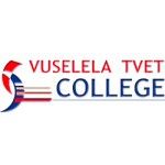 Vuselela College logo