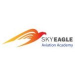 Logotipo de la SkyEagle Aviation Academy