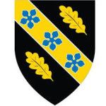 Логотип University of Wales Trinity Saint David