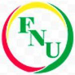 Logotipo de la Florida National University
