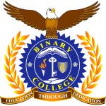Logotipo de la Binary University