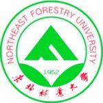 Логотип Northeast Forestry University