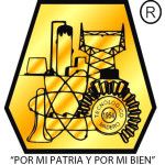 Technological Institute of Madero logo