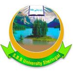Shaheed Benazir Bhutto University logo