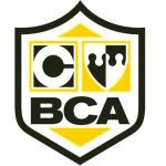 Логотип Bca Business Studies