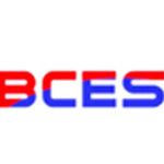 Логотип British College for Excellence in Studies