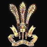 Logo de Rashtriya Indian Military College