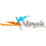Nkangala College logo