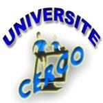 Logo de Institute CERCO