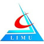 Логотип Libyan International Medical University
