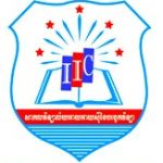 Логотип IIC University of Technology