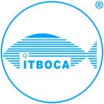 Логотип Technological Institute of Boca del Rio