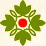 Логотип Central University