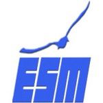 Management School ESM logo