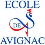 The Ecole Supérieure Internationale de Savignac logo
