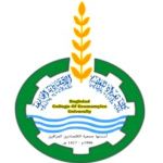 Logotipo de la Baghdad College of Economic Sciences University