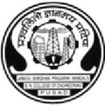 Логотип Babasaheb Naik College of Engineering, Pusad