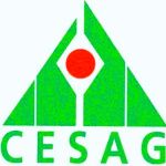 Логотип Center African Of Studies Higher Managerial (Cesag)