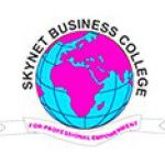 Logotipo de la Skynet Business College Nairobi