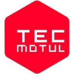 Логотип Institue of Technology of Motul