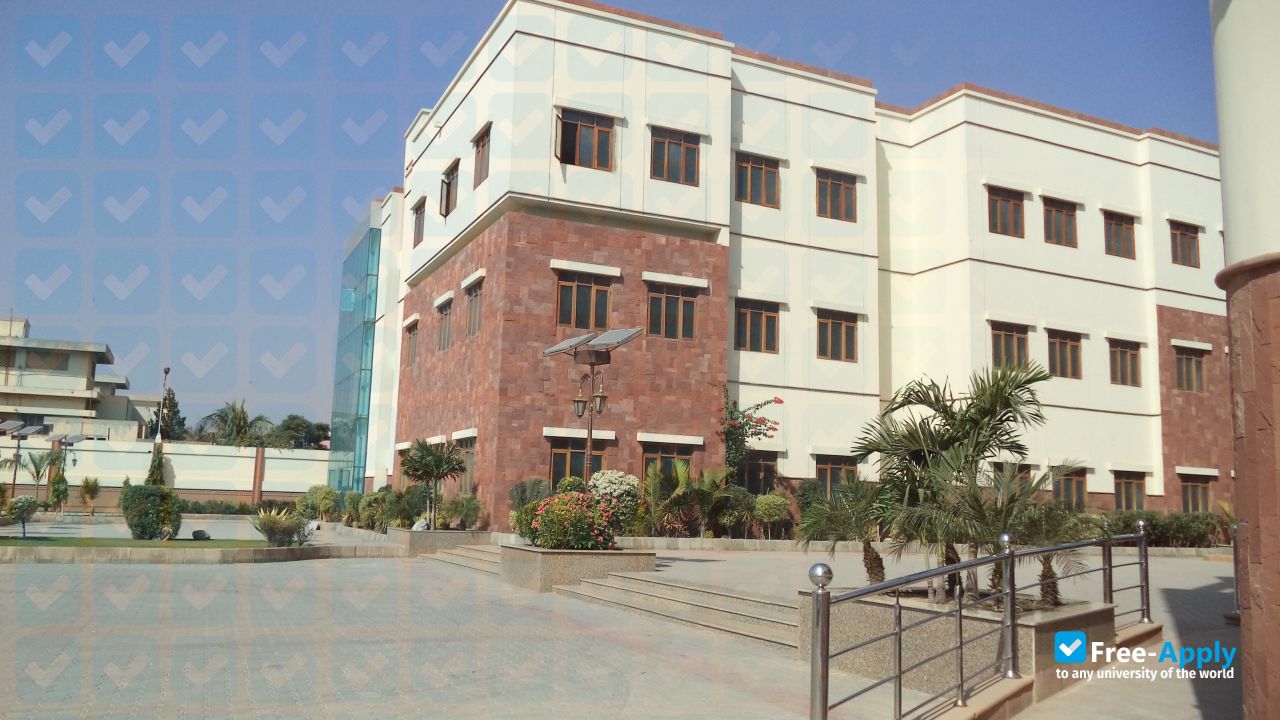 Photo de l’Nazeer Hussian University #7